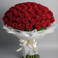 Букет 101 Красная роза Блэк Мэджик #REPLACE_PRED# Растуново
