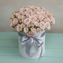 Цветочная композиция из Розы в шляпной коробке #REPLACE_PRED# Растуново