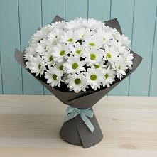 Букет цветов из:  Хризантемы #REPLACE_PRED# Растуново