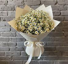 Букет цветов из:  Ромашки #REPLACE_PRED# Растуново