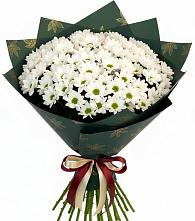 Букет цветов из:  Хризантемы #REPLACE_PRED# Растуново