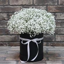 Цветочная композиция из Гипсофила в шляпной коробке в Растуново